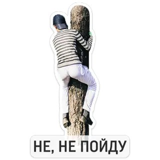 🤒 НЕ, НЕ ПОЙДУ hombre, árbol, escalada, rechazo, ruso, texto telegram sticker