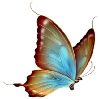 🦋 borboleta, inseto, asas, natureza, colorido, beleza telegram sticker