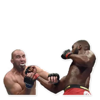 🐒 mma, fight, kick, boxing, sport, ufc telegram sticker