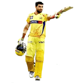 ✌ Cricket, Sport, Sportler, Schlagmann whatsapp sticker