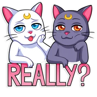 🤨 REALLY? cat, question, really, cute, sticker telegram sticker