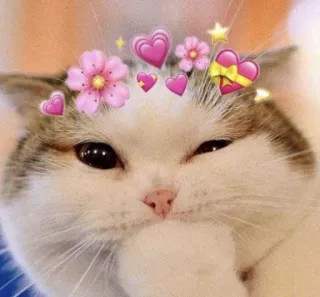 💖 gatto, carino, kawaii, cuori, fiori, adesivo, animale, animale domestico telegram sticker