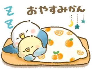 🦜 おやすみかん dormindo, pássaros, laranja, fofo, travesseiro telegram sticker