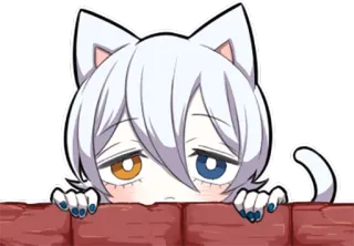 😶 kot, anime, słodki, naklejka, białe włosy, heterochromia telegram sticker