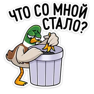 😧 ЧТО СО МНОЙ СТАЛО? pato, triste, lixo, desenho animado, animal telegram sticker