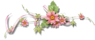 😶 flowers, pink, ribbon, floral, decoration, leaves whatsapp sticker