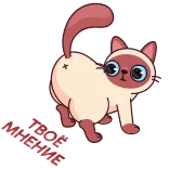💩 gato, siamês, desenho animado, fofo, animal, engraçado, rabo, bumbum whatsapp sticker