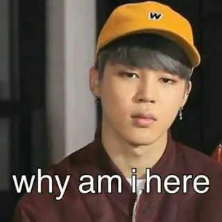 ❓ why am i here Mème, Question, Kpop, BTS, Jimin telegram sticker