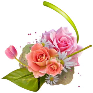 🌸 цветок, роза, ромашка, тюльпан, букет, цветочный, весна, сад, декоративный telegram sticker