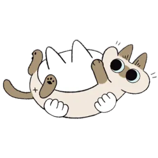 🤪 cat, cute, animal, sticker, cartoon, funny, playful telegram sticker