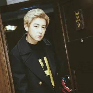🗼 Park Chanyeol K-pop, Exo, Chanyeol, Cantante, Ritratto, Attore, Musica telegram sticker