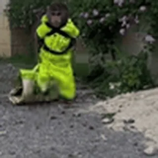 🤠