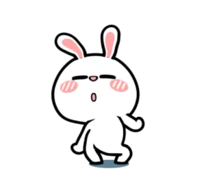😎 conejo, dibujos animados, conejo, lindo, animado whatsapp sticker