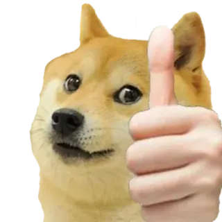 👍 Doge pies, shiba inu, mem, kciuk w górę, akceptacja, mem internetowy, mem doge telegram sticker