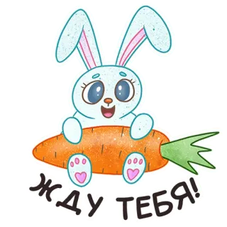 🥺 Жду тебя! 토끼, 당근, 귀여운, 기다림, 기다리는 whatsapp sticker