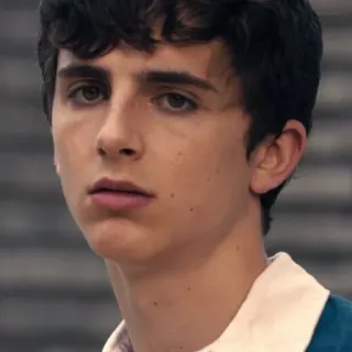 😐 Timothée Chalamet актер, знаменитость, портрет, Тимоти Шаламе whatsapp sticker
