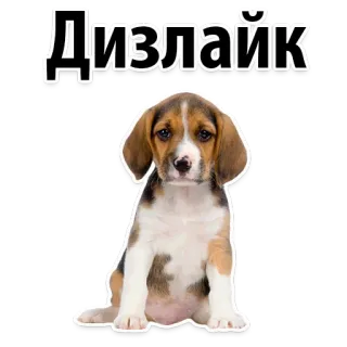 😑 Дизлайк dog, puppy, dislike, russian, sticker, cute, animal telegram sticker