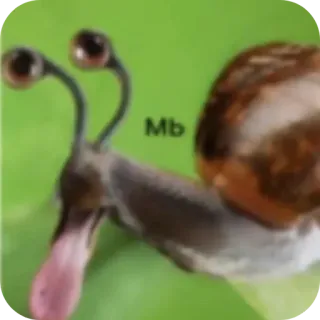 🐦 Mb telegram sticker