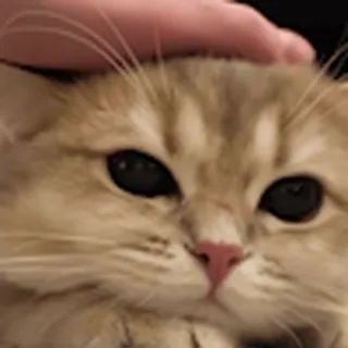 🤗