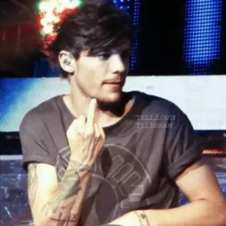 🕸 Louis Tomlinson TELLLOUIS TELEGRAM Stinkefinger, Beleidigung, Louis Tomlinson, One Direction, Promi, Sänger telegram sticker