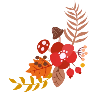 💐 flor, folhas, frutas vermelhas, outono, floral, natureza, decoração telegram sticker
