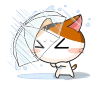 ☔ cat, rain, umbrella, cute, animal, sticker telegram sticker