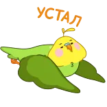 😫 bird, parrot, cute, animal, pet, cartoon telegram sticker