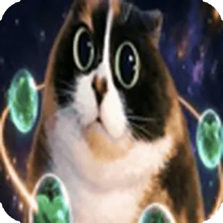 🐱