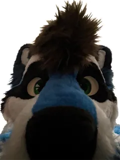 👃 Фурри, Фурсьют, Животное, Костюм telegram sticker