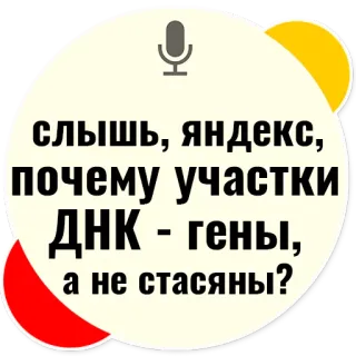 👀 слышь, яндекс, почему участки ДНК - гены, а не стасяны? Russian text, Yandex, DNA, genes, question telegram sticker
