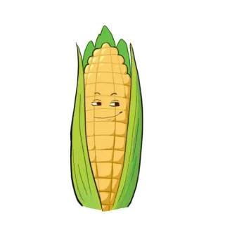 😏 mais, cibo, verdura, pianta, cartone animato, illustrazione whatsapp sticker