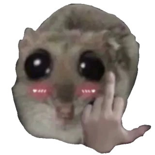🖕 햄스터, 가운데 손가락, 공격적인, 무례한, 동물 whatsapp sticker