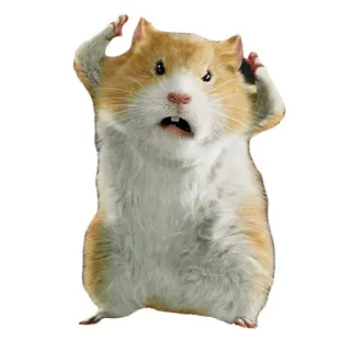 😱 hamster, kaget, binatang pengerat, binatang, takut telegram sticker