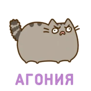 😖 АГОНИЯ кот, русский, агония, стикер, настроение, выражение, злой whatsapp sticker