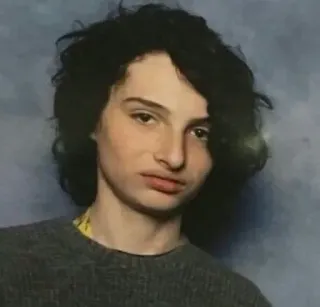 🎸 Finn Wolfhard attore, celebrità, Finn Wolfhard telegram sticker