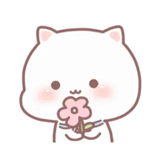 💗 gato, flor, lindo, pegatina, dibujo animado, kawaii telegram sticker