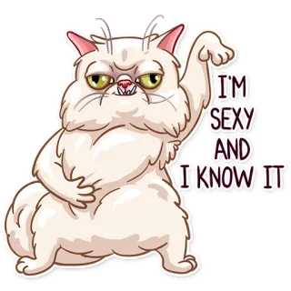💃 I'M SEXY AND I KNOW IT gato, sexy, divertido, animal, humor, meme telegram sticker