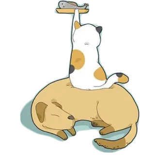 😊 gato, cachorro, animais, amizade, fofo, animal de estimação, desenho animado whatsapp sticker