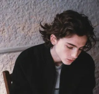 🦇 Timothée Chalamet actor, celebridad, retrato, hombre, joven, guapo telegram sticker