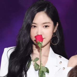 🦄 女性, バラ, 韓国, 花, 美, ポートレート telegram sticker