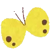 🦋