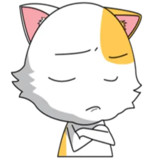 😞 猫, 卡通, 动物, 可爱, 贴纸, 插画, 小猫 whatsapp sticker