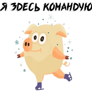 😖 Я ЗДЕСЬ КОМАНДУЮ 돼지, 피겨 스케이팅, 겨울, 만화, 웃긴, 귀여운 whatsapp sticker