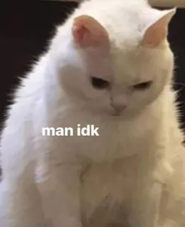 ❔ man idk кот, не знаю, мем, смешно, животное telegram sticker