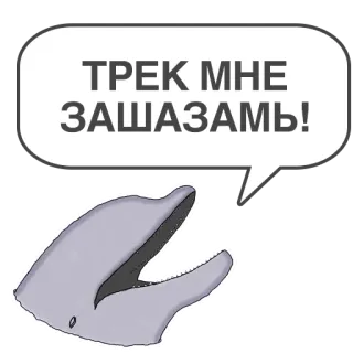 🎧 ТРЕК МНЕ ЗАШАЗАМЬ! delfín, Shazam, música, encontrar canción, ruso, animal whatsapp sticker