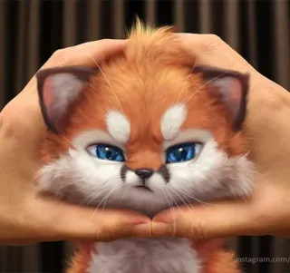 💢 animal, fox, cute, cartoon, adorable, pet, character telegram sticker