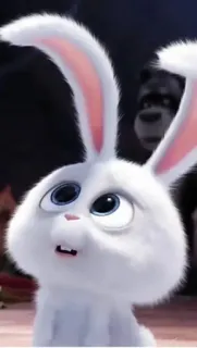 🥺 Snowball The Secret Life of Pets rabbit, animal, cartoon, white, bunny, cute telegram sticker