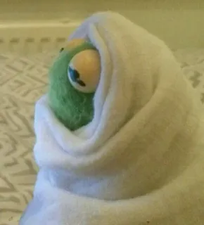 💚 kermit, puppet, covered, wrapped, green, muppet, eyes telegram sticker