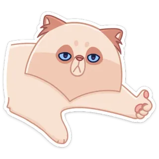 👍 gato, adesivo, animal, fofo, animal de estimação, desenho animado telegram sticker