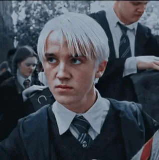 🐾 Draco Malfoy Harry Potter 드레이코 말포이, 해리 포터, 슬리데린, 마법사, 캐릭터, 십대 telegram sticker